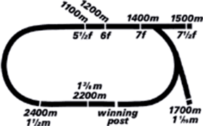Geelong Racecourse Map
