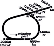 Cranbourne Racecourse Track Map
