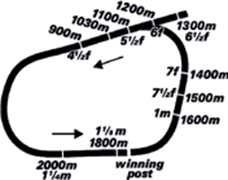 Darwin Raceourse Track Map