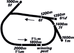 donald racecourse