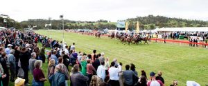 toodyay horse racing